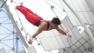 serie b lpg05626 ph pagliaricci ferraro